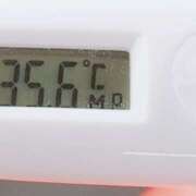 ヒメ日記 2025/11/12 11:09 投稿 愛ちゃん❤️若妻系 向日葵（ひまわり)