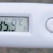 ヒメ日記 2025/11/13 11:14 投稿 愛ちゃん❤️若妻系 向日葵（ひまわり)