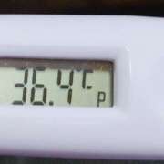 ヒメ日記 2025/11/14 11:38 投稿 愛ちゃん❤️若妻系 向日葵（ひまわり)