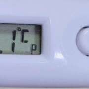 ヒメ日記 2025/11/26 11:01 投稿 愛ちゃん❤️若妻系 向日葵（ひまわり)