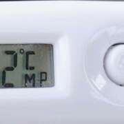 ヒメ日記 2025/11/29 09:50 投稿 愛ちゃん❤️若妻系 向日葵（ひまわり)