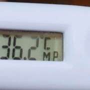 ヒメ日記 2025/12/06 11:55 投稿 愛ちゃん❤️若妻系 向日葵（ひまわり)