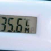 ヒメ日記 2025/12/28 09:53 投稿 愛ちゃん❤️若妻系 向日葵（ひまわり)