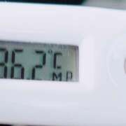 ヒメ日記 2026/01/07 10:47 投稿 愛ちゃん❤️若妻系 向日葵（ひまわり)