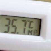 ヒメ日記 2026/01/23 10:22 投稿 愛ちゃん❤️若妻系 向日葵（ひまわり)