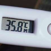 ヒメ日記 2026/01/27 11:06 投稿 愛ちゃん❤️若妻系 向日葵（ひまわり)