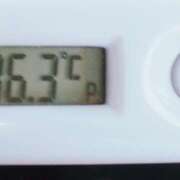 ヒメ日記 2026/02/04 11:24 投稿 愛ちゃん❤️若妻系 向日葵（ひまわり)