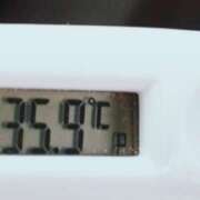 ヒメ日記 2026/02/12 11:09 投稿 愛ちゃん❤️若妻系 向日葵（ひまわり)