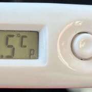 ヒメ日記 2026/03/01 09:47 投稿 愛ちゃん❤️若妻系 向日葵（ひまわり)