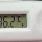 ヒメ日記 2026/03/13 11:27 投稿 愛ちゃん❤️若妻系 向日葵（ひまわり)