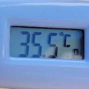 ヒメ日記 2026/03/14 11:19 投稿 愛ちゃん❤️若妻系 向日葵（ひまわり)