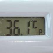 ヒメ日記 2026/03/24 11:11 投稿 愛ちゃん❤️若妻系 向日葵（ひまわり)