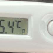 ヒメ日記 2026/03/31 09:54 投稿 愛ちゃん❤️若妻系 向日葵（ひまわり)