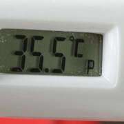 ヒメ日記 2026/04/01 11:41 投稿 愛ちゃん❤️若妻系 向日葵（ひまわり)