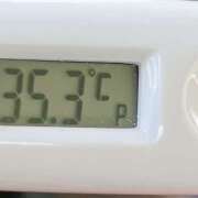 ヒメ日記 2026/04/02 11:30 投稿 愛ちゃん❤️若妻系 向日葵（ひまわり)