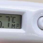 ヒメ日記 2026/04/07 11:14 投稿 愛ちゃん❤️若妻系 向日葵（ひまわり)