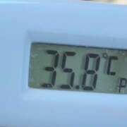 ヒメ日記 2026/04/08 11:30 投稿 愛ちゃん❤️若妻系 向日葵（ひまわり)