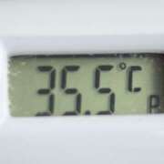 ヒメ日記 2026/04/17 12:10 投稿 愛ちゃん❤️若妻系 向日葵（ひまわり)