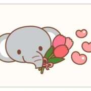 ヒメ日記 2024/12/22 19:28 投稿 田中久美 五十路マダム 博多店