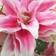 ヒメ日記 2025/02/01 15:19 投稿 田中久美 五十路マダム 博多店