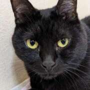 ヒメ日記 2025/02/16 22:07 投稿 田中久美 五十路マダム 博多店