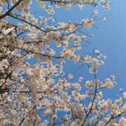 ヒメ日記 2025/02/27 19:00 投稿 田中久美 五十路マダム 博多店