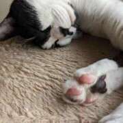 ヒメ日記 2025/05/30 18:26 投稿 田中久美 五十路マダム 博多店