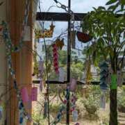 ヒメ日記 2025/07/07 11:27 投稿 田中久美 五十路マダム 博多店