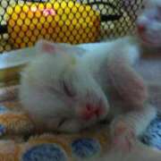 ヒメ日記 2025/07/12 18:57 投稿 田中久美 五十路マダム 博多店