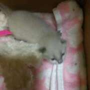 ヒメ日記 2025/08/11 10:07 投稿 田中久美 五十路マダム 博多店