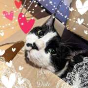 ヒメ日記 2025/08/19 12:47 投稿 田中久美 五十路マダム 博多店