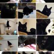 ヒメ日記 2025/08/25 09:25 投稿 田中久美 五十路マダム 博多店