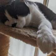 ヒメ日記 2025/09/14 15:17 投稿 田中久美 五十路マダム 博多店