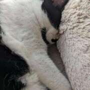 ヒメ日記 2025/10/17 14:19 投稿 田中久美 五十路マダム 博多店