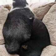 ヒメ日記 2025/10/20 09:43 投稿 田中久美 五十路マダム 博多店