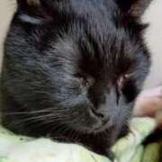 ヒメ日記 2025/10/21 08:57 投稿 田中久美 五十路マダム 博多店