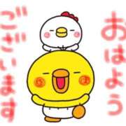 ヒメ日記 2025/11/04 09:47 投稿 田中久美 五十路マダム 博多店