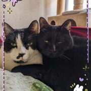 ヒメ日記 2025/11/08 08:59 投稿 田中久美 五十路マダム 博多店