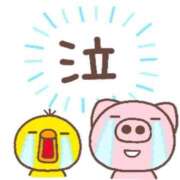 ヒメ日記 2025/11/09 09:47 投稿 田中久美 五十路マダム 博多店