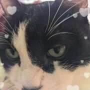 ヒメ日記 2025/11/12 09:18 投稿 田中久美 五十路マダム 博多店