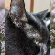 ヒメ日記 2025/11/14 08:57 投稿 田中久美 五十路マダム 博多店