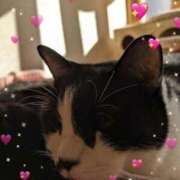 ヒメ日記 2025/11/15 01:37 投稿 田中久美 五十路マダム 博多店