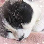 ヒメ日記 2025/11/15 09:27 投稿 田中久美 五十路マダム 博多店