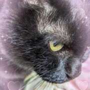 ヒメ日記 2025/11/17 09:47 投稿 田中久美 五十路マダム 博多店