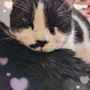 ヒメ日記 2025/12/02 13:37 投稿 田中久美 五十路マダム 博多店