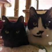 ヒメ日記 2025/12/05 09:37 投稿 田中久美 五十路マダム 博多店