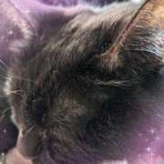 ヒメ日記 2025/12/09 09:47 投稿 田中久美 五十路マダム 博多店