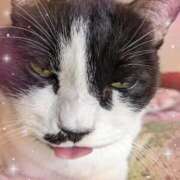 ヒメ日記 2025/12/10 09:27 投稿 田中久美 五十路マダム 博多店