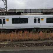 ヒメ日記 2025/12/11 12:37 投稿 田中久美 五十路マダム 博多店