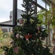 ヒメ日記 2025/12/24 14:21 投稿 田中久美 五十路マダム 博多店